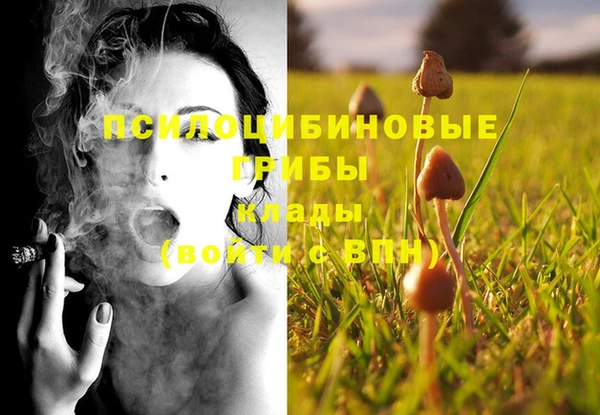 МДПВ Богородицк