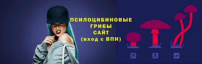 скорость mdpv Бронницы