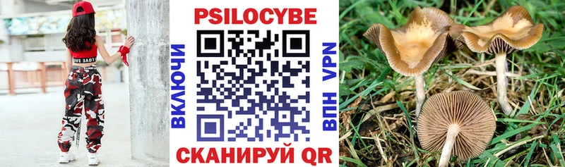 магазин продажи   Кузнецк  Псилоцибиновые грибы GOLDEN TEACHER 